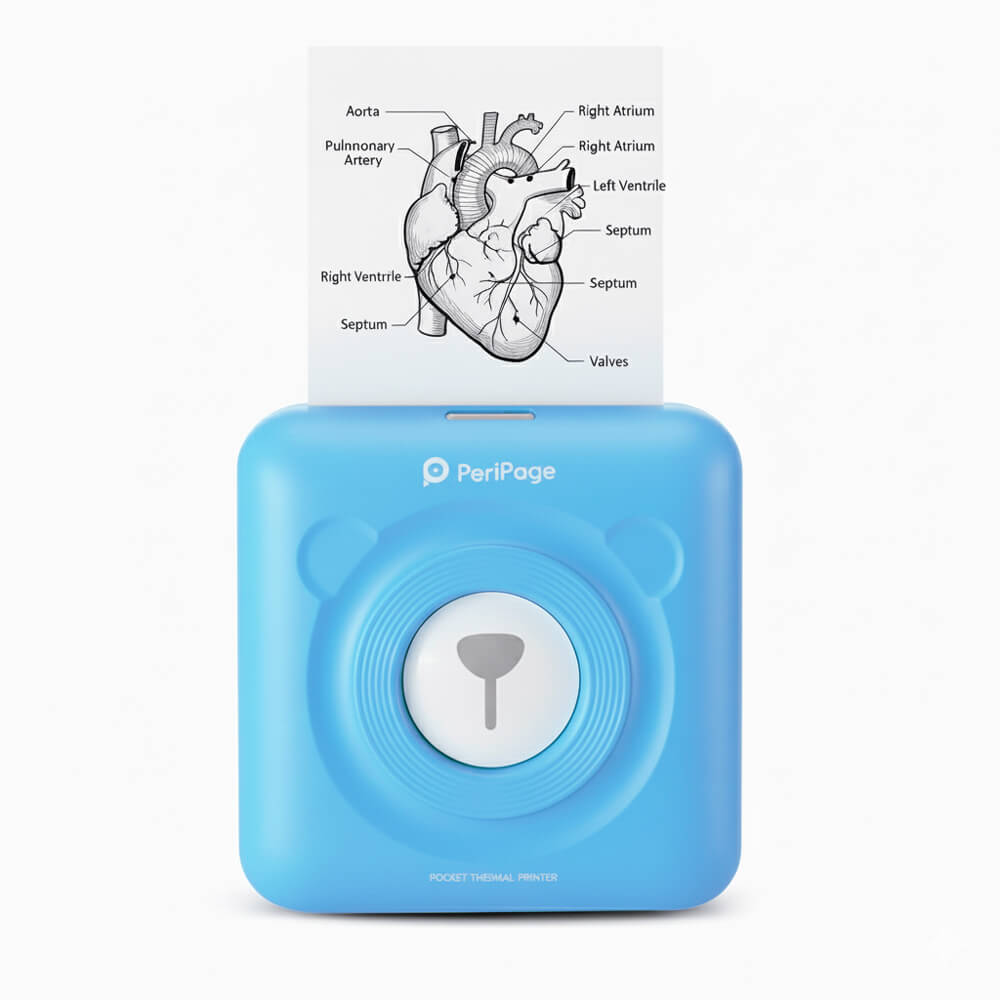 TEDDYPRINT Portable Printer